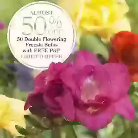 Double Mixed